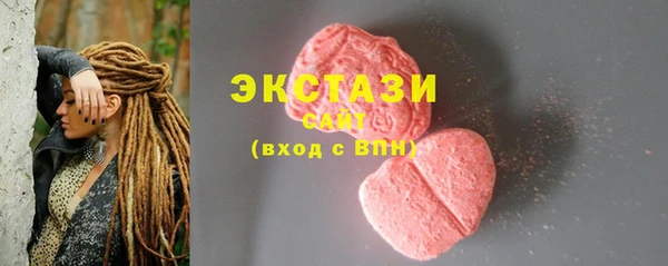 ECSTASY Алзамай