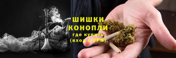 прущие грибы Абинск