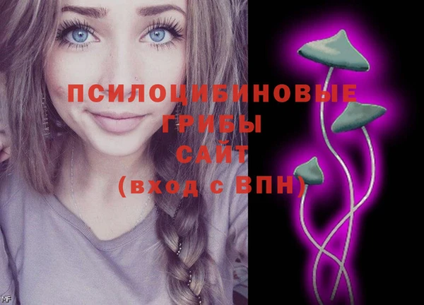 дурь Абаза