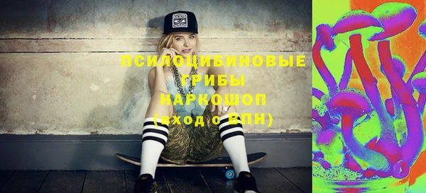 ECSTASY Алзамай