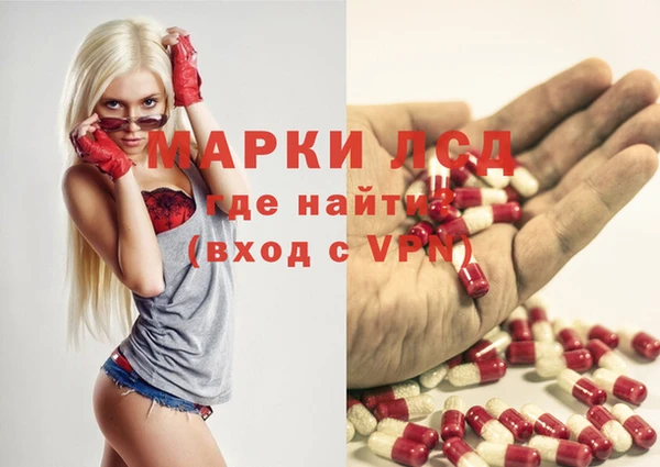прущие грибы Абинск