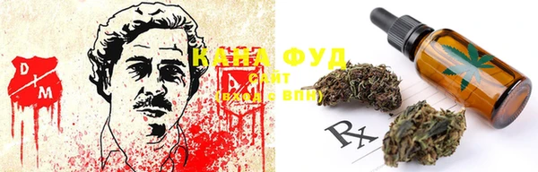 ECSTASY Алзамай
