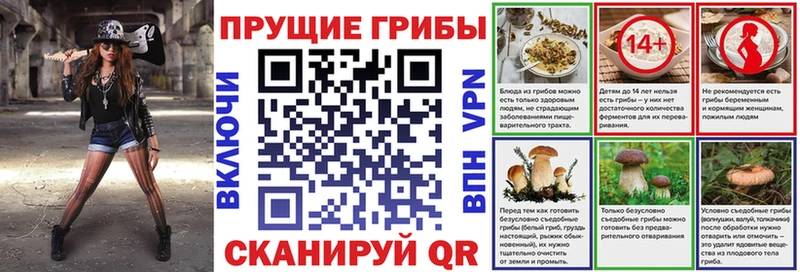 купить наркотик  Абдулино  Галлюциногенные грибы прущие грибы 
